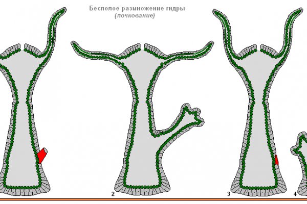 Ссылки на кракен at