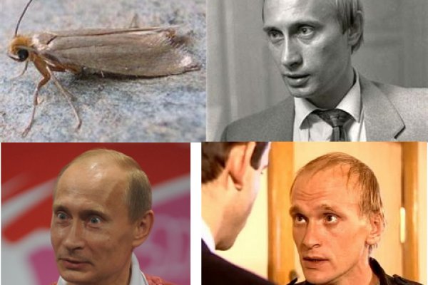 Кракен at
