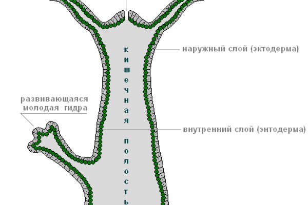 Кракен упал