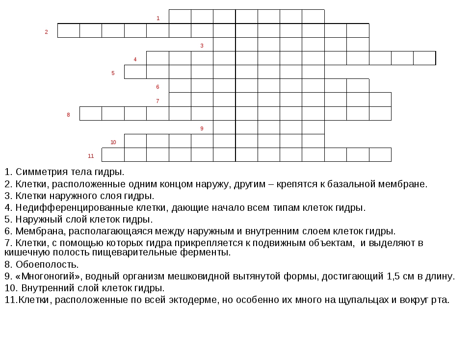 Кракен 22
